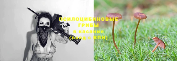 индика Алексин