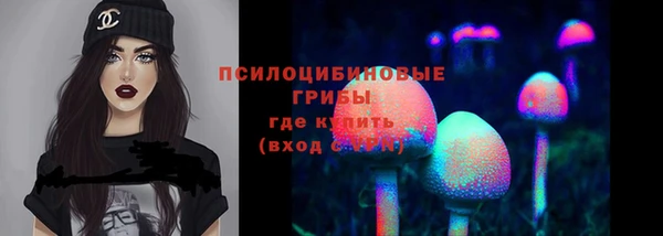 дживик Алзамай
