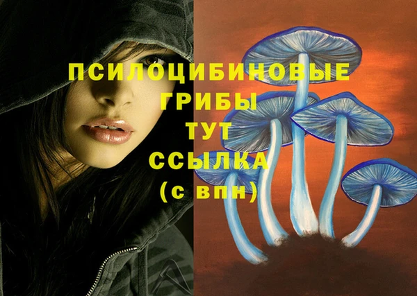 дживик Алзамай