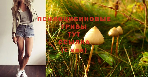 дживик Алзамай