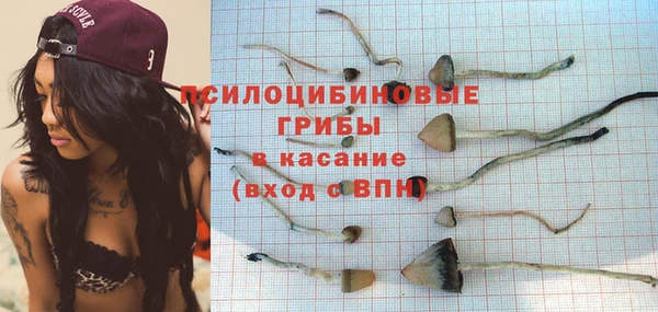 индика Алексин