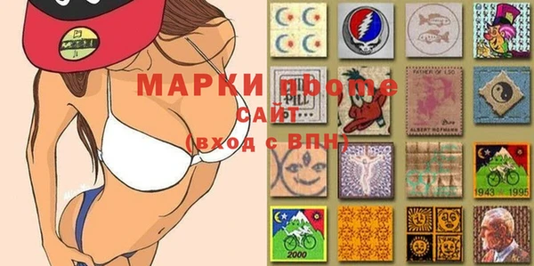 индика Алексин