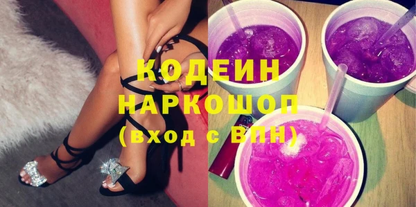 индика Алексин