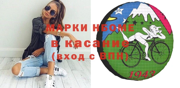 индика Алексин