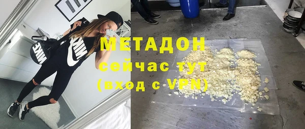 индика Алексин